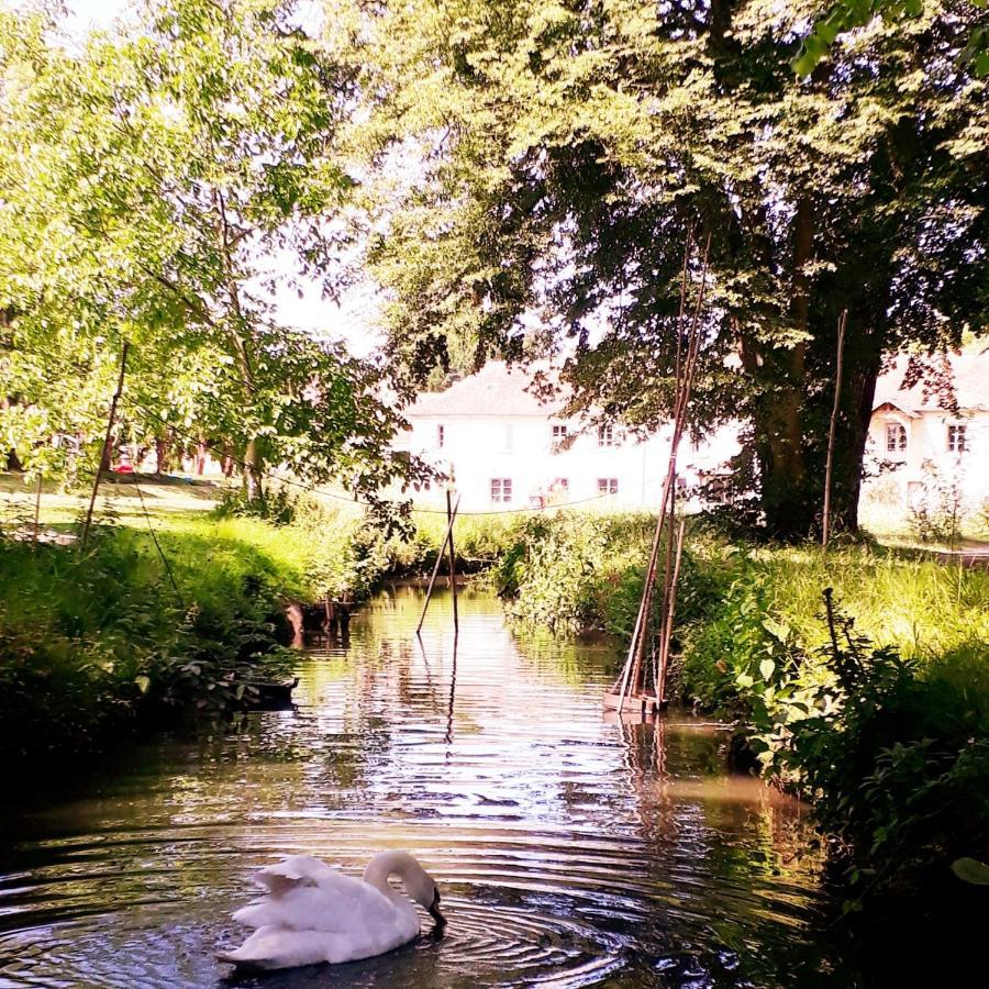 Domaine Du Plessis Bed and Breakfast Le Plessis-Luzarches Eksteriør billede